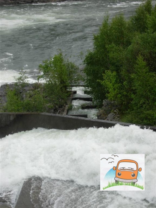 DSCN4536_Hunderfossen08