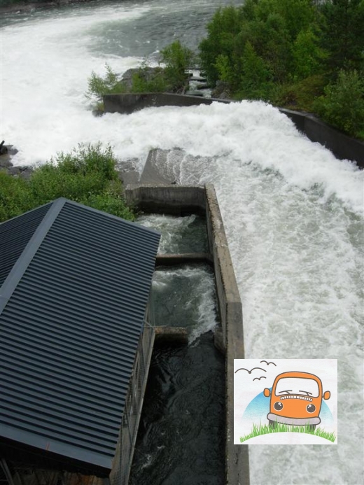 DSCN4537_Hunderfossen09