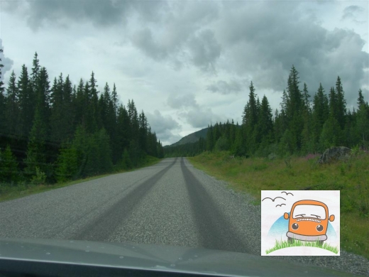 DSCN4559_Gausdal