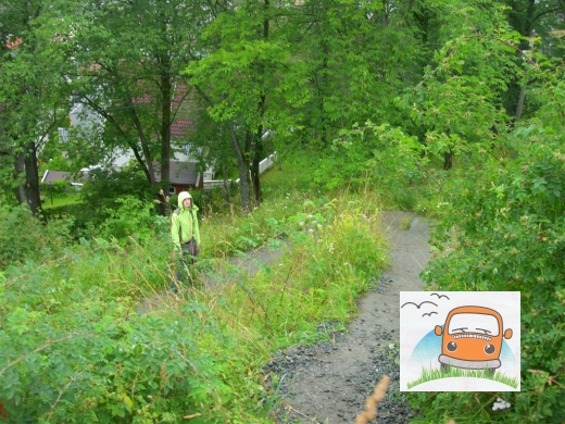 DSCN4683_Trondheim10