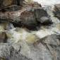 DSCN4759_formofoss01