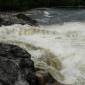 DSCN4762_formofoss04