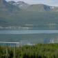 DSCN5132_Harstad08