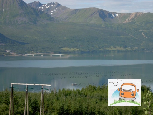 DSCN5132_Harstad08