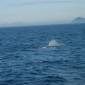 dag09 - Harstad-Andenes