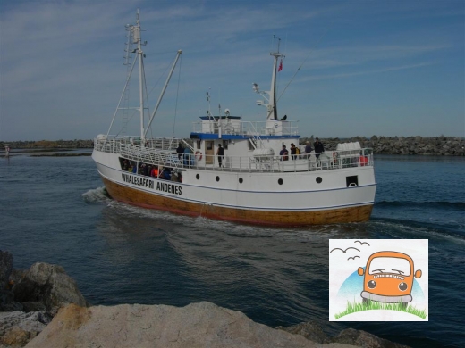 DSCN5244_Andenes10
