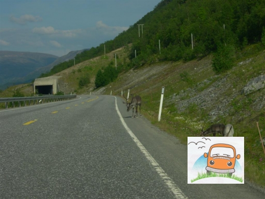 DSCN5499_Oksfjordjokelen10