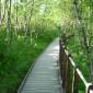 DSCN5510_Alta02