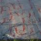 DSCN5518_Alta10
