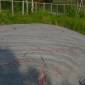 DSCN5529_Alta21