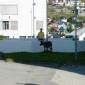 DSCN5609