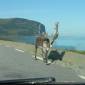 dag13 - Alta-Honningsvag-Nordkapp