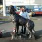 DSCN5698_Honningsvag09