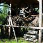 DSCN5864_Tankavaara07