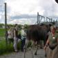 DSCN6011_Bjurholm09