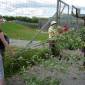 DSCN6015_Bjurholm13