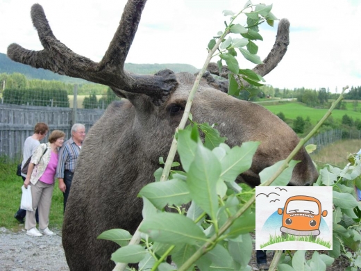 DSCN6016_Bjurholm14