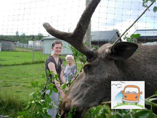 DSCN6020_Bjurholm18