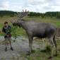 DSCN6025_Bjurholm23