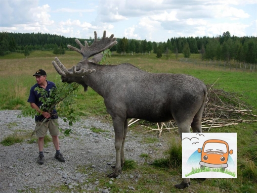 DSCN6025_Bjurholm23