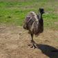 ID80 Knysna-Oudtshoorn