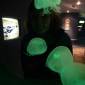 ID87 - Two Oceans Aquarium